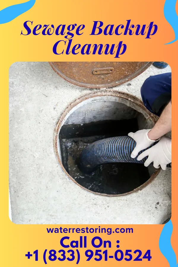 Sewage Backup Cleanup in Green, OR
